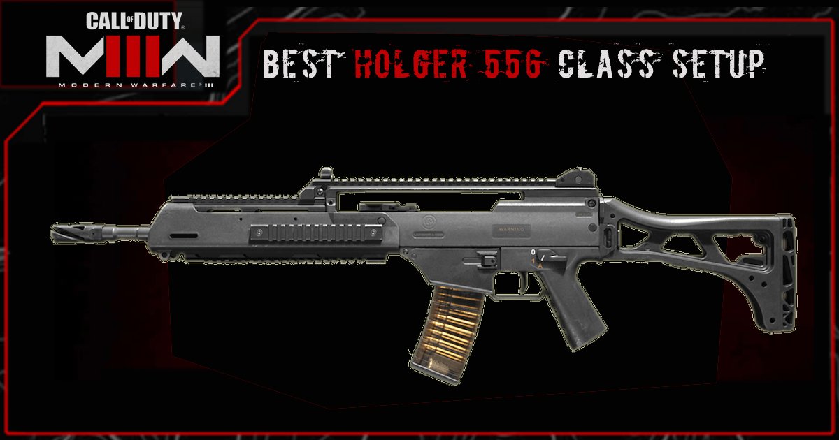 Best Holger 556 Class Setup in COD MW3
